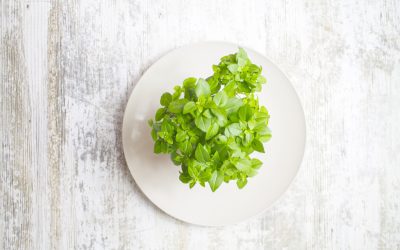 Faut-il privilégier la connaissance ou le savoir ?